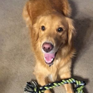 Meet your Posher, Daniel